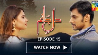 Dil e Jaanam Episode 15 Hum TV Drama - 9 June 2017