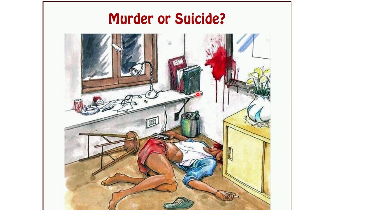 Murder or suicide Puzzle 001
