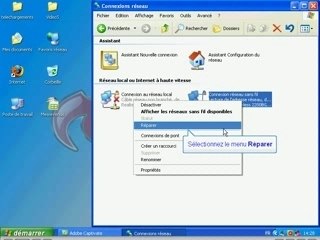 Restaurer connexion internet: Sauvesouris.com