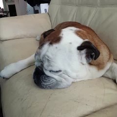 testing file 2 - Ning Ding