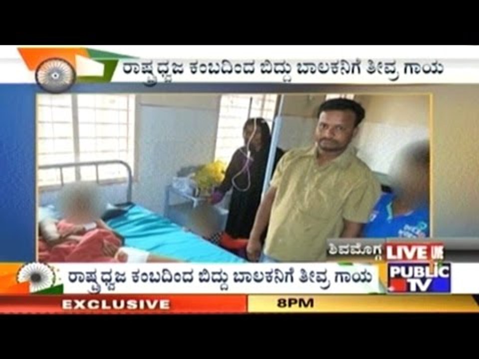 Shimoga: Boy Severely Injured After Falling Down From Flag Hoisting Pole