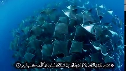 الرزق بيد الله وحدة