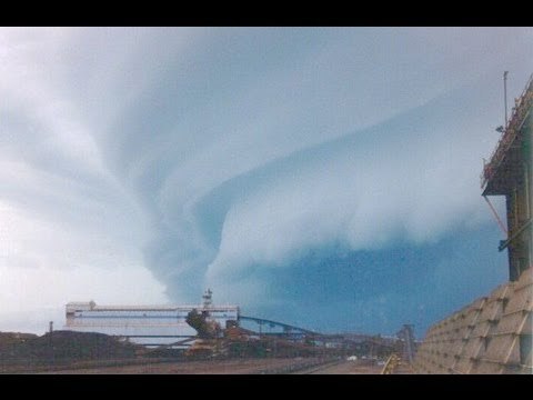 Impresionante!!! Culebra de agua sorprende a habitantes de Guanajuato (VIDEO)