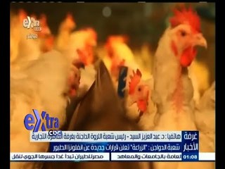 #غرفة_الأخبار | شعبة الدواجن : الزراعة تعلن قرارات جديدة عن انفلونزا الطيور