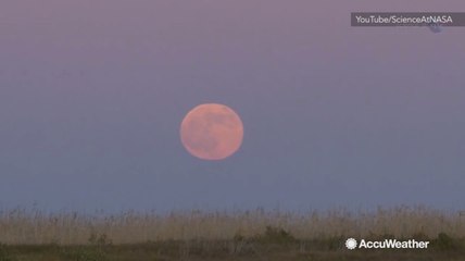 The Strawberry 'Mini Moon' rises on June 9