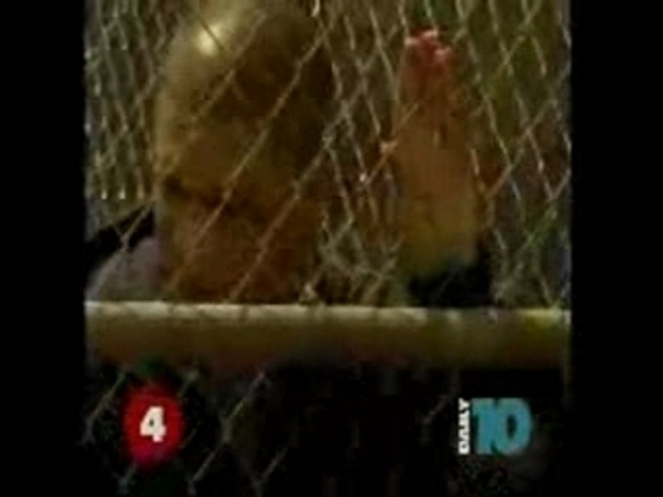 Wentworth miller interview on Daily10.flv