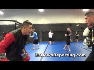 cobra strikes chef in denver - EsNews