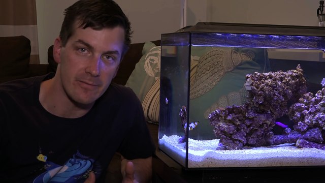 HOW TO - Cycle a Fluval Sea EVO Aquarium (ft. Mr. Saltwater Tank)