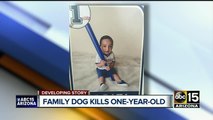Dog attacks baby boy, drags him outside before killing him