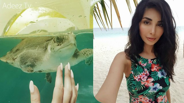 Sabeeka Imam Celebrating Vacations In Maldives