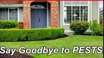 Pest Control Services in United Kingdom