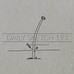 Watch the Stunning Flower Lifecycle Animation 🌸