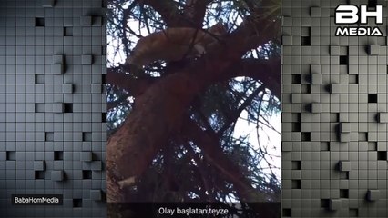 Aykut Elmas - Olay büyüten teyze ve oradan geçen umarsız adam w/