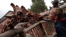 Des enfants au Zoo ça donne toujours des moments magiques - Compilation