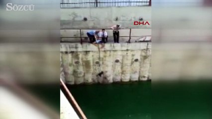 Su birikintisine düşen kedi böyle kurtarıldı