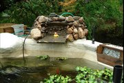 Koi Fish Pond - A Rare Look at a Concrete Above Ground in Freezing Cold & Harsh Winter Climate