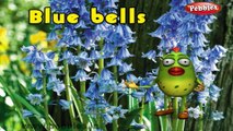 Blue Bells | 3D animated nursery rhymes for kids with lyrics  | popular Flower rhyme for kids | Blue Bells song  | Flower songs | Funny rhymes for kids | cartoon  | 3D animation | Top rhymes of Flowers for children