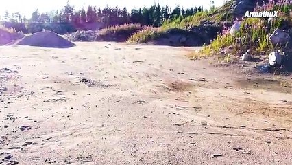 120.RC Cars 6S Truggy vs 3S Shortcourse