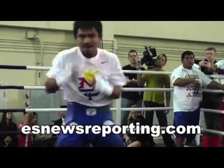 Mayweather vs Pacquiao TV News Anchor Stella Inger Breaks It Down - EsNews Boxing