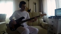 Les Irresistibles - My Year is a Day [Bass Cover]