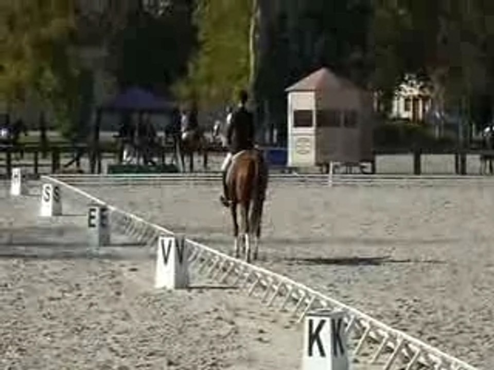 Reprise de dressage C2 KELLY