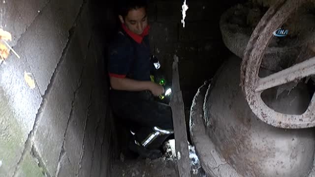 Kuyuya Düşen Yavru Kediyi İtfaiye Ekipleri Kurtardı