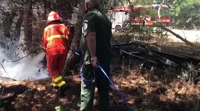 Incendi nelle campagne di Andria: bruciano anche copertoni e auto - fumi nocivi per la salute dispersi nell'aria