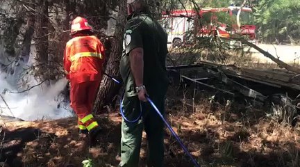 Incendi nelle campagne di Andria: bruciano anche copertoni e auto - "fumi nocivi per la salute dispersi nell'aria"