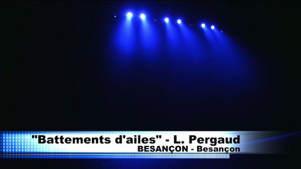 Besançon "Battements D'ailes"