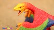 Videos de Dinosaurios para pteryx  Schleich Dinosaurs Dinosaurios de
