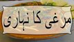 Murghi ka nahari recipe in Urdu - nihari recipe  how to make nihari  nihari recipe Urdu
