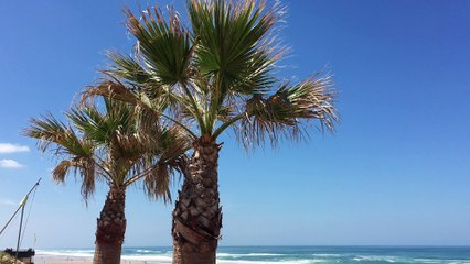 La foule en route vers les plages