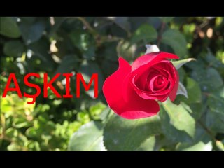 Sevim Tuna-Sensiz Olmuyor