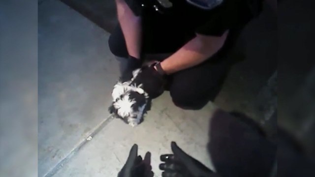 Heroic police officers rescue puppy choking on cheese