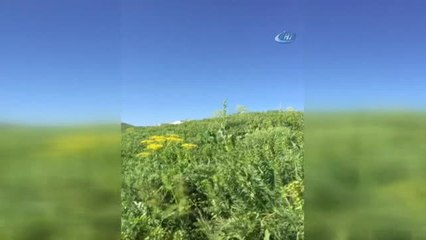 Hakkari'de Hain Tuzak Köylülerin Haber Vermesi Sonucu Bozuldu