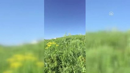 Teröristlerin Helikopterlere Saldırı Düzeneği Imha Edildi