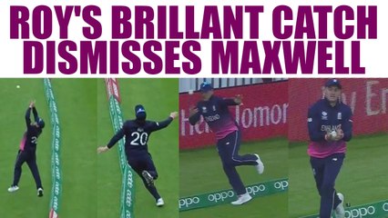 ICC Champions Trophy : Jason Roy catches ball on boundary, display cat like reflexes | Oneindia News