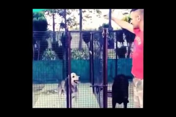 Rare video clip of Indian Cricket Team At Workout AND when GET TOGETHER