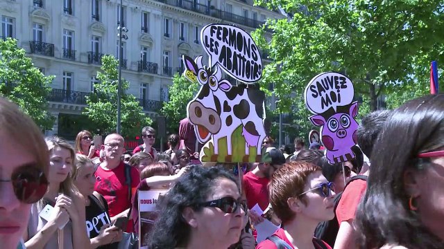 Manifestation pour la fermeture des abattoirs