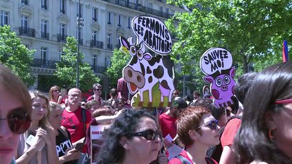 Manifestation pour la fermeture des abattoirs