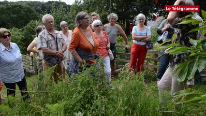 Download Video: Morlaix. Les jardins solidaires ouverts au public ce week-end