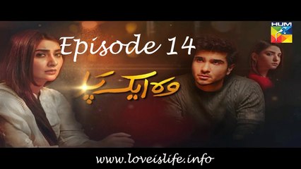 Woh Aik Pal Episode 14 HUM TV Drama 10 June 2017