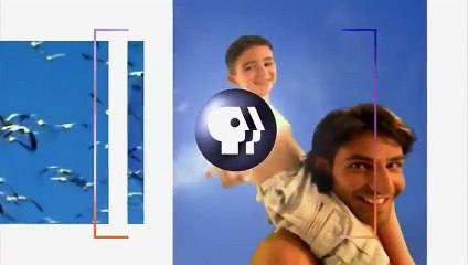 Drawn From Nature American Masters John James Audubon