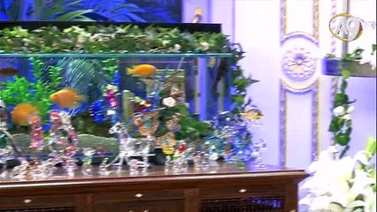 CANLI YAYINDA SORULAN SORULAR-2-21 MAYIS 2017