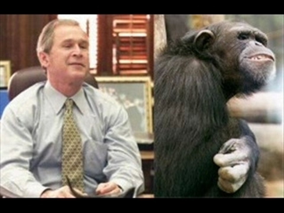 The monkey song with George W Bush