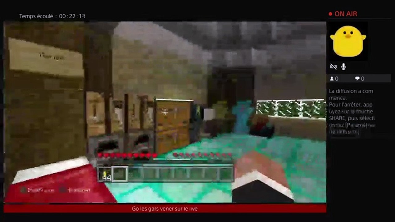 RP sur Minecraft (36)