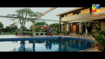 Woh Aik Pal Episode 14 HUM TV Drama - 10 June 2017