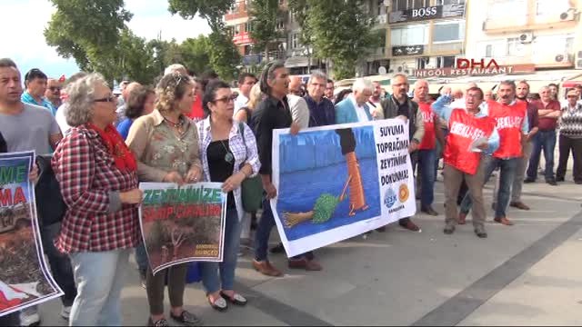 Balıkesir Erdek ve Bandırma'da Zeytin Eylemi