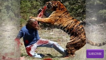 Amazing ! zoo animals attack people
