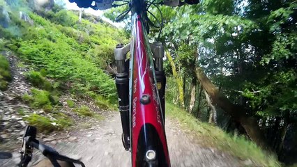 Wicklow Way - Descenso Crone Woods Cascada Powerscourt